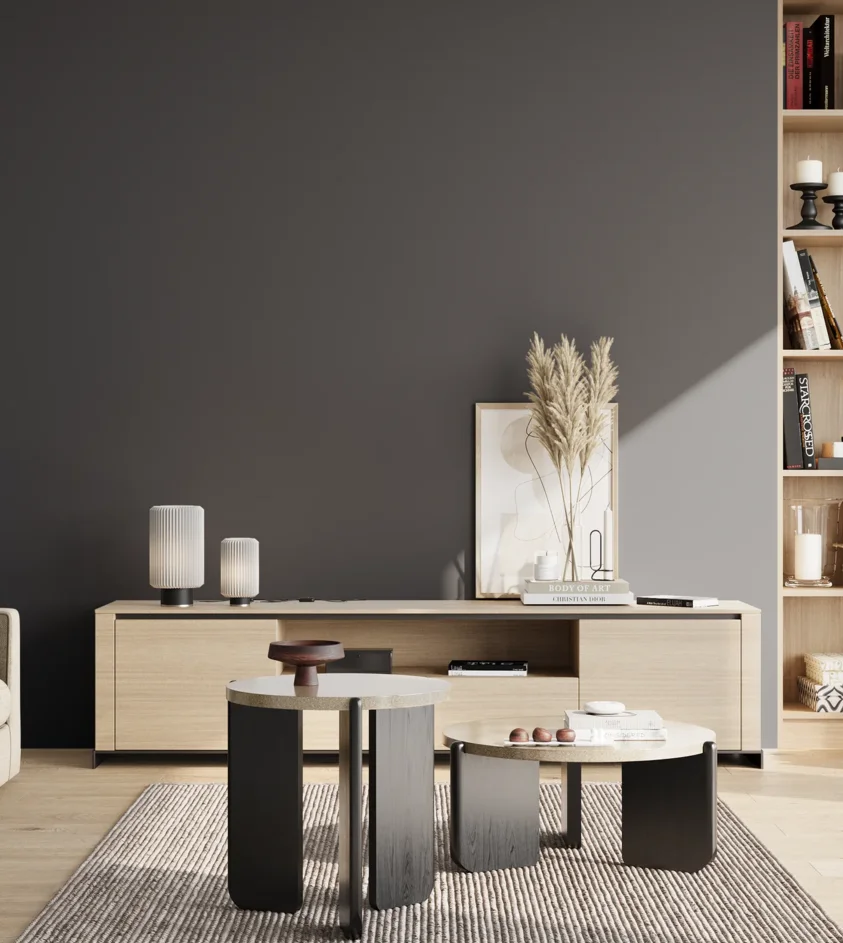 P10_SNIEZKA_salon_02_poludnie_GREY_C60