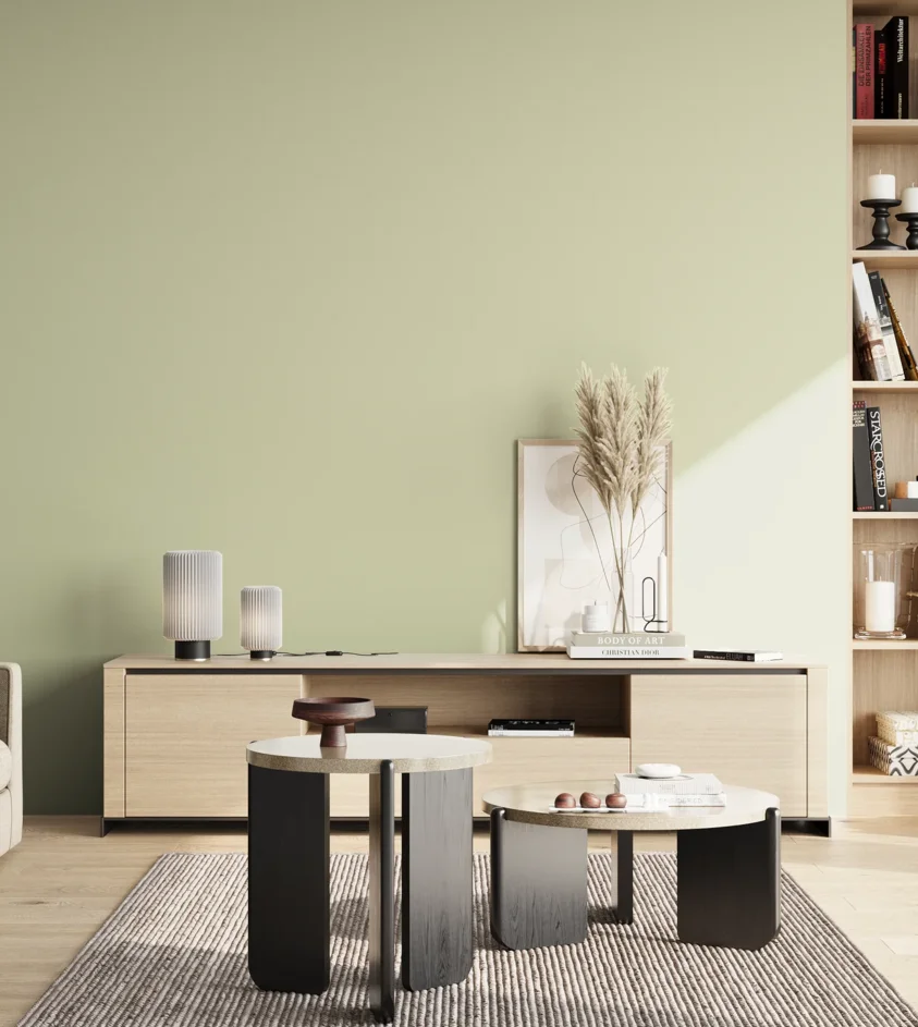 P10_SNIEZKA_salon_02_poludnie_GREY_S1010-G60Y