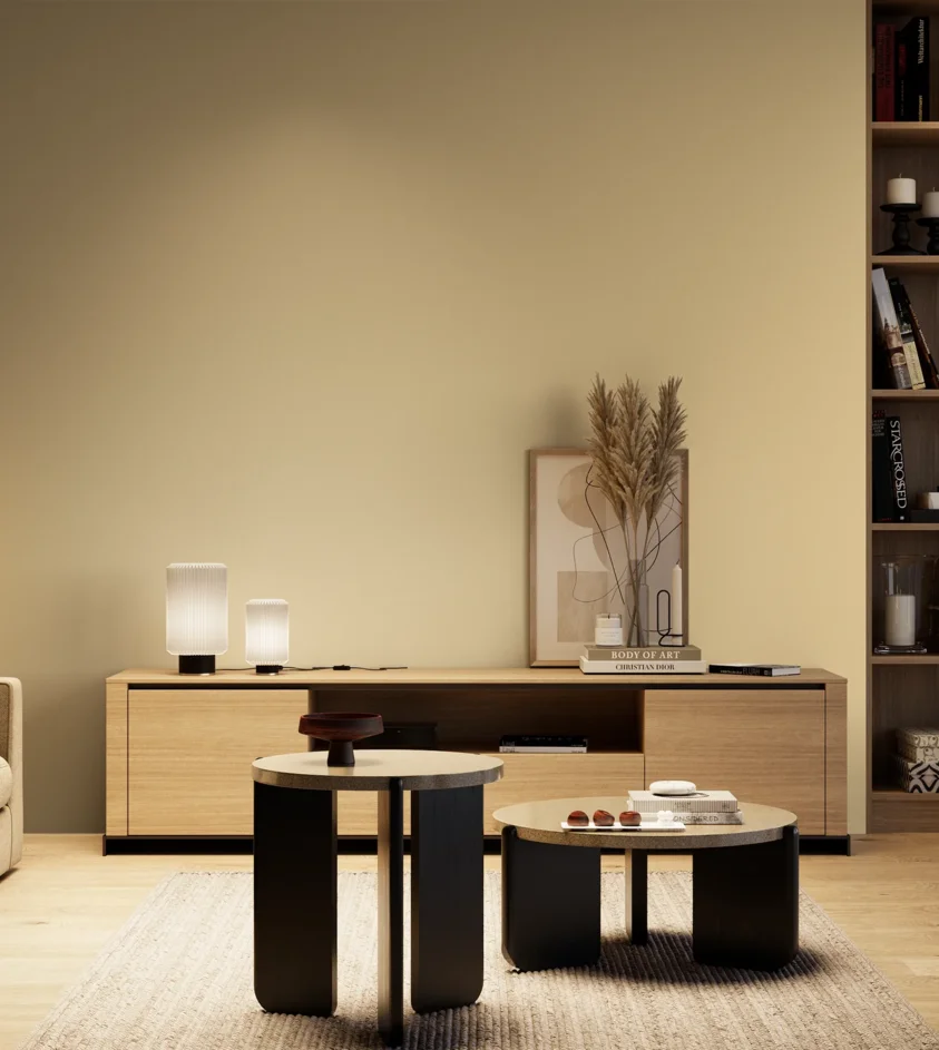 P10_SNIEZKA_salon_04_cieple_GREY_S1015-Y20R