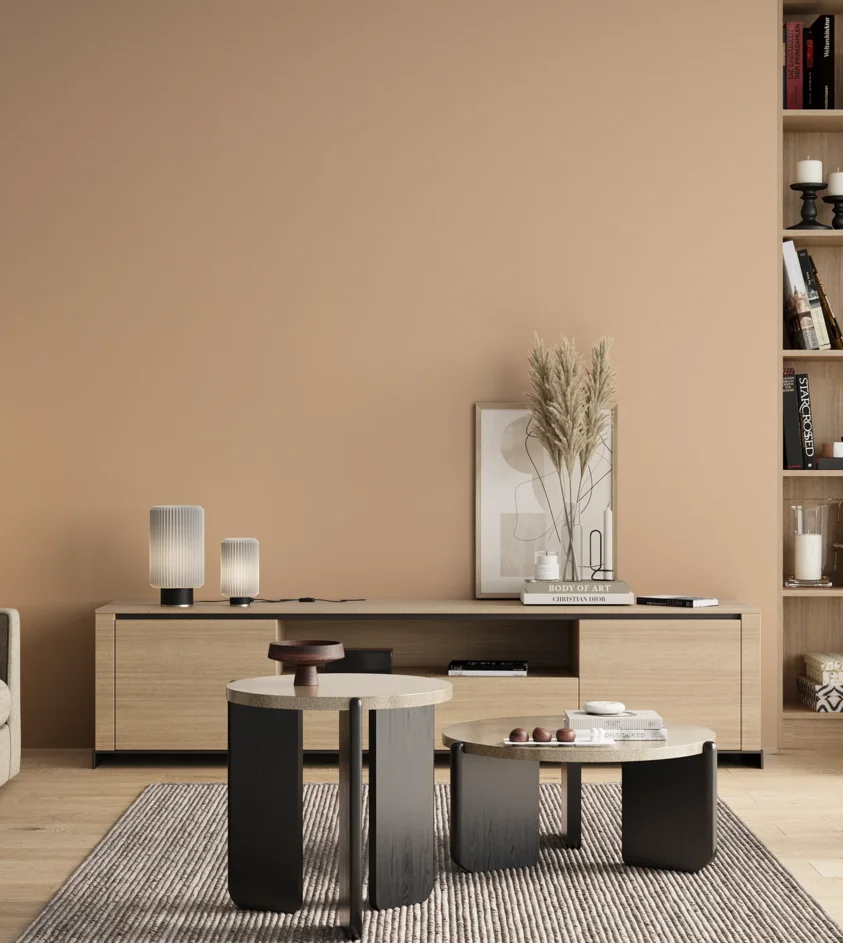 P10_SNIEZKA_salon_00_neutral_GREY_S1015-Y50R