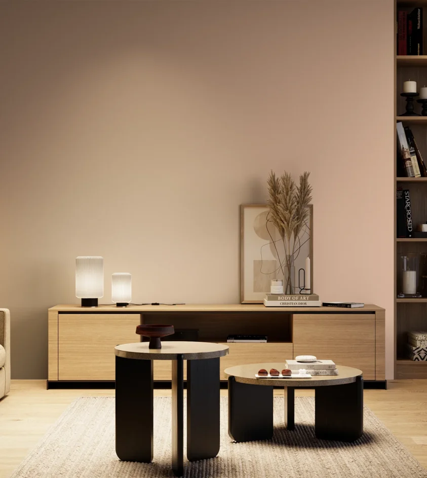 P10_SNIEZKA_salon_04_cieple_GREY_S1015-Y70R
