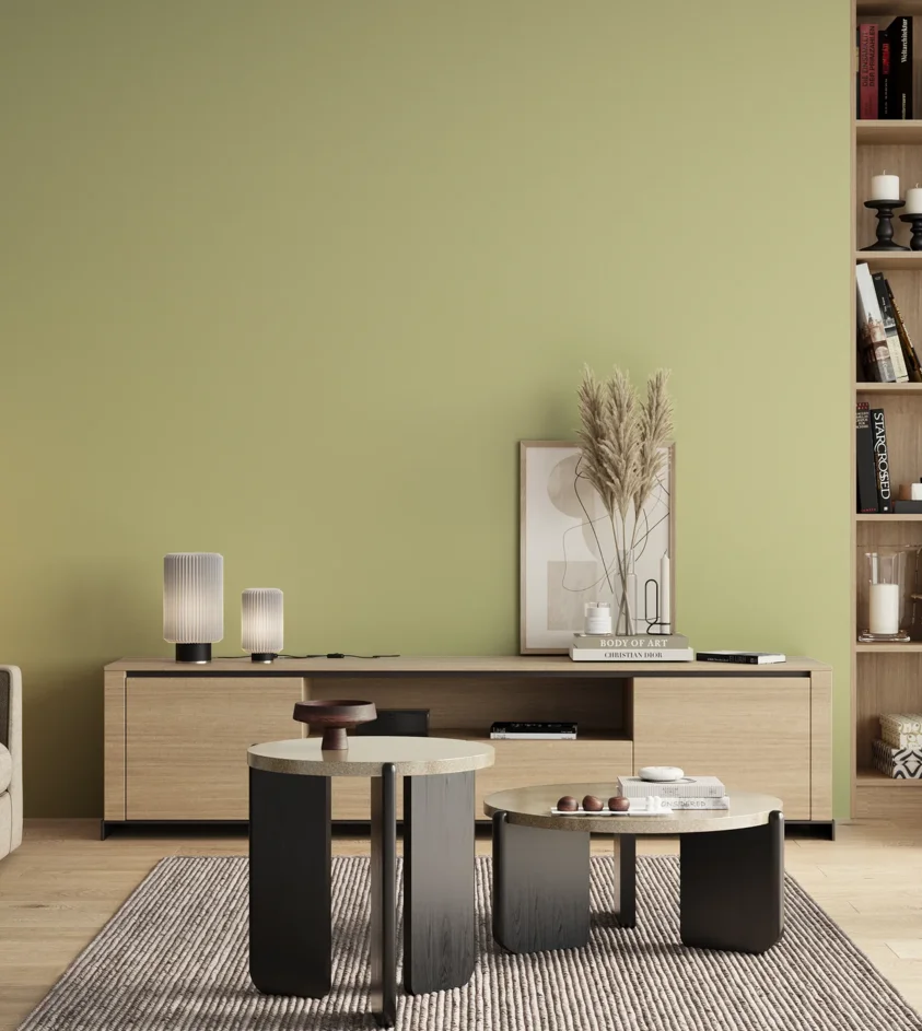 P10_SNIEZKA_salon_00_neutral_GREY_S1020-G70Y