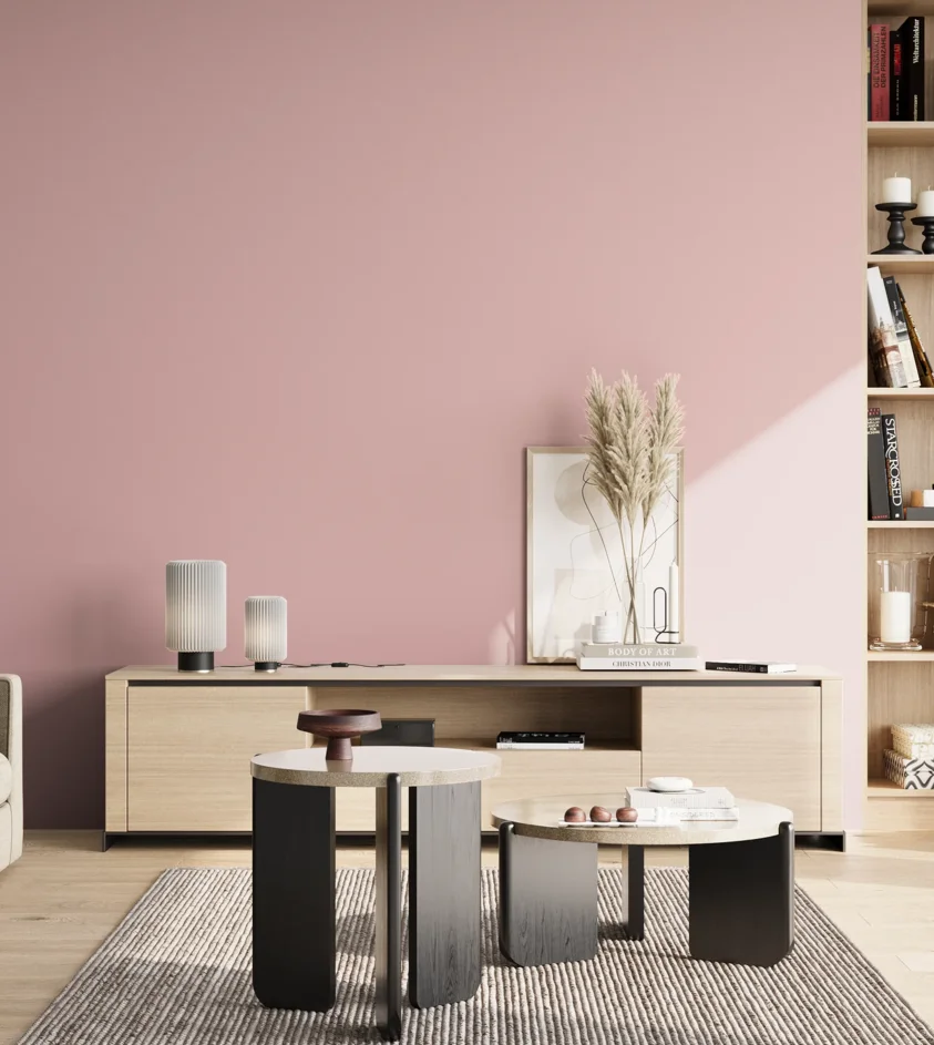 P10_SNIEZKA_salon_02_poludnie_GREY_S1020-R10B