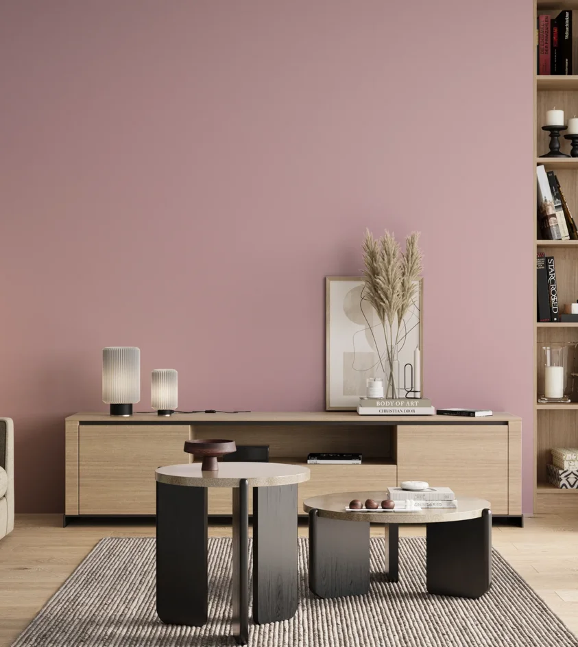 P10_SNIEZKA_salon_00_neutral_GREY_S1020-R20B
