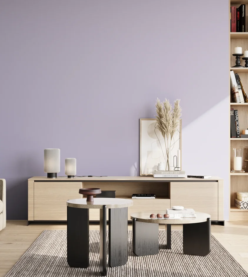 P10_SNIEZKA_salon_02_poludnie_GREY_S1020-R60B