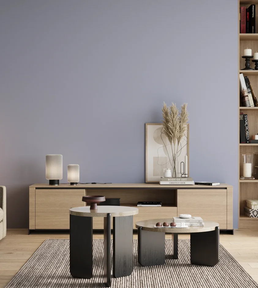 P10_SNIEZKA_salon_00_neutral_GREY_S1020-R70B