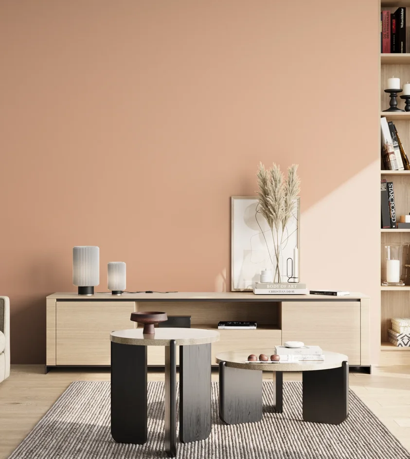 P10_SNIEZKA_salon_02_poludnie_GREY_S1020-Y60R
