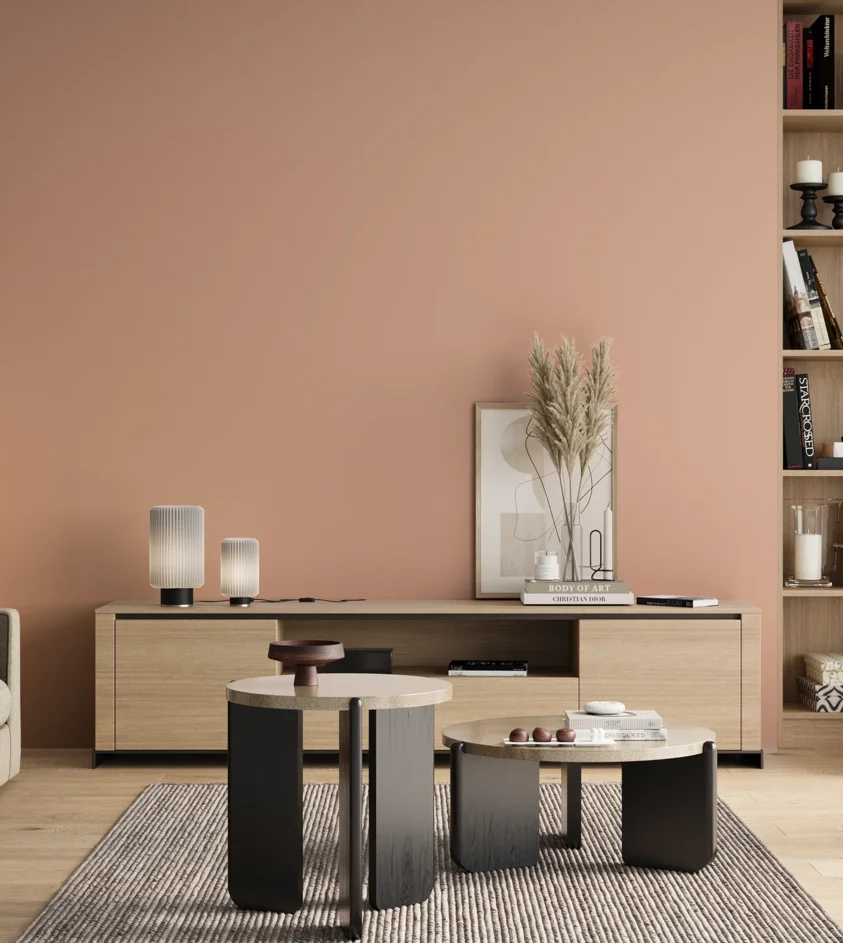 P10_SNIEZKA_salon_00_neutral_GREY_S1020-Y70R