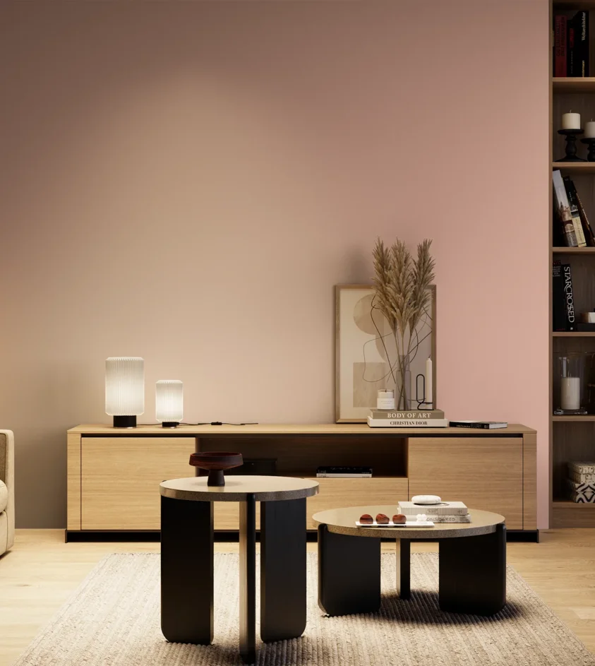 P10_SNIEZKA_salon_04_cieple_GREY_S1020-Y90R