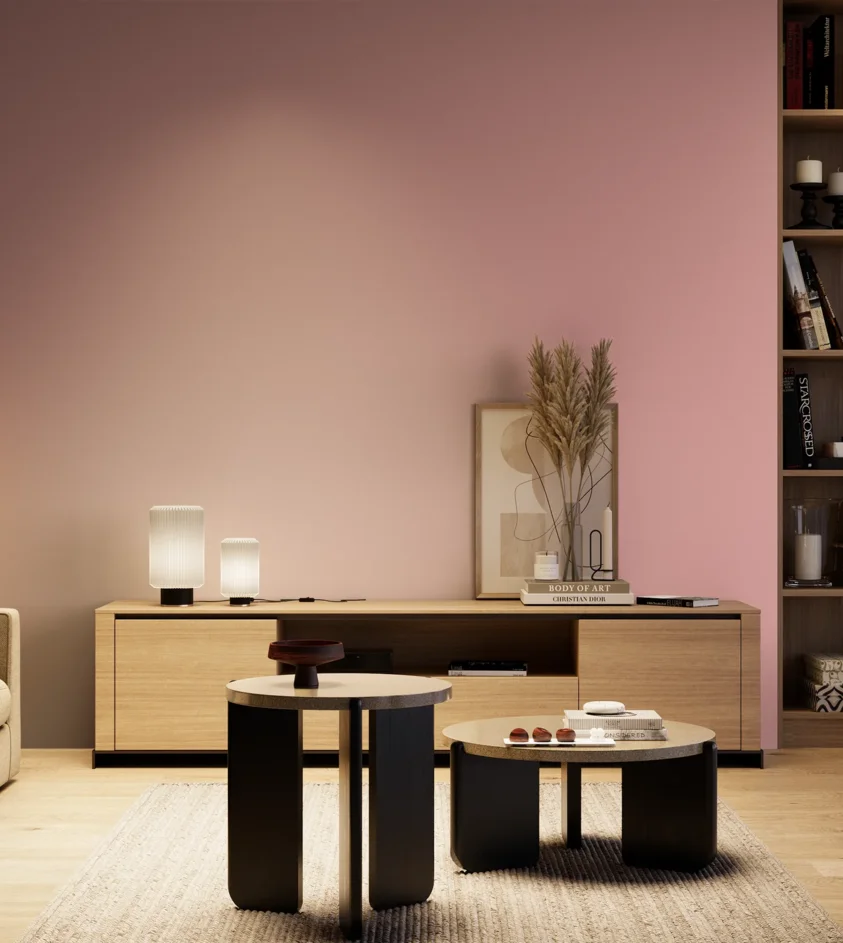 P10_SNIEZKA_salon_04_cieple_GREY_S1030-R10B