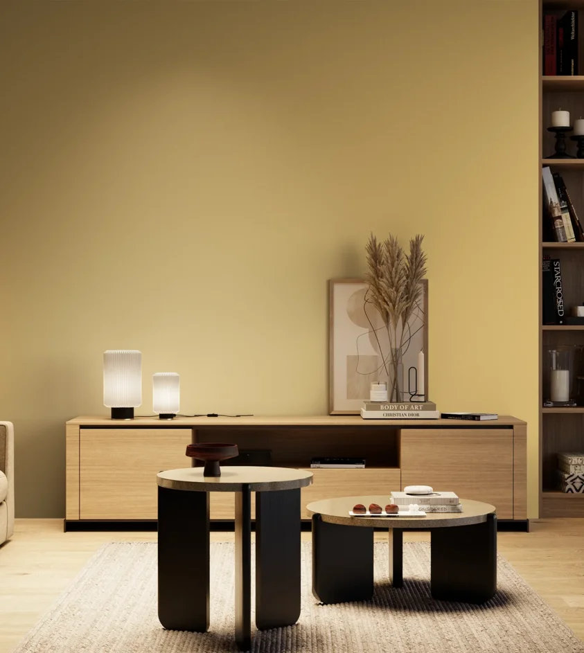 P10_SNIEZKA_salon_04_cieple_GREY_S1030-Y10R