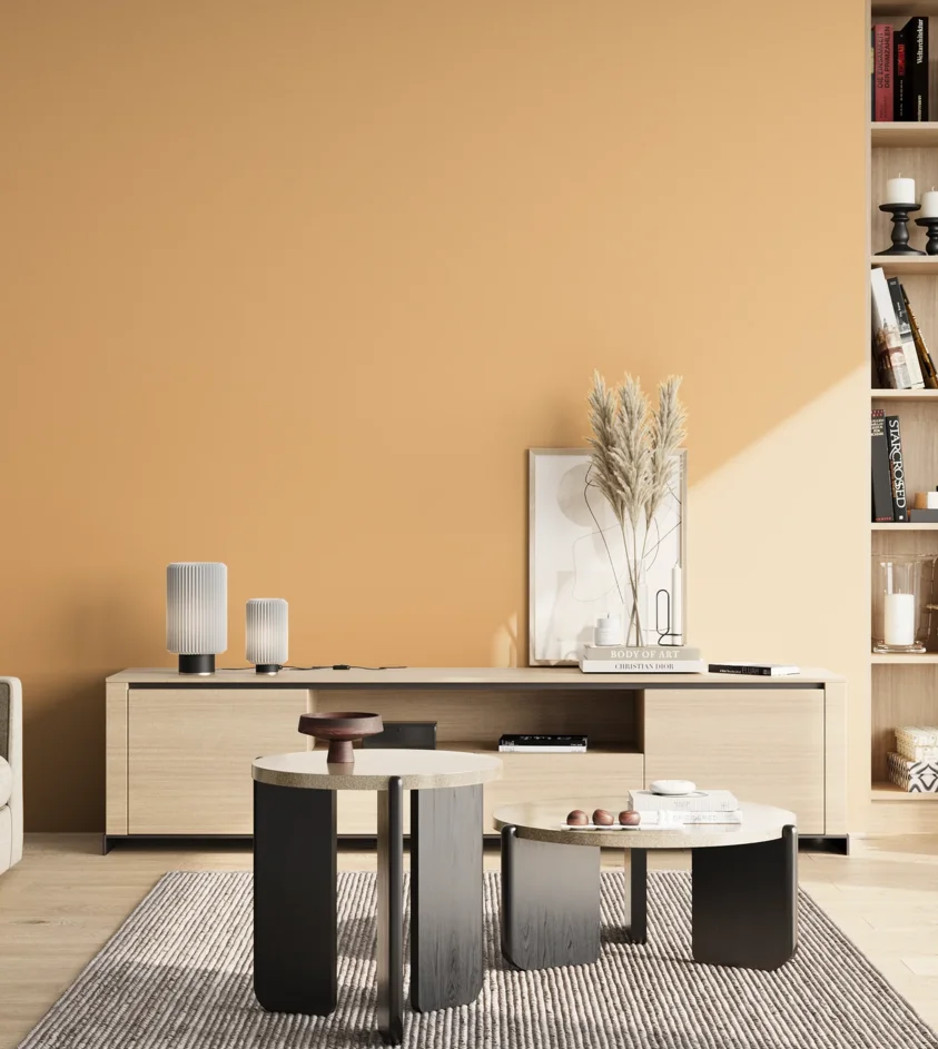 P10_SNIEZKA_salon_02_poludnie_GREY_S1030-Y30R