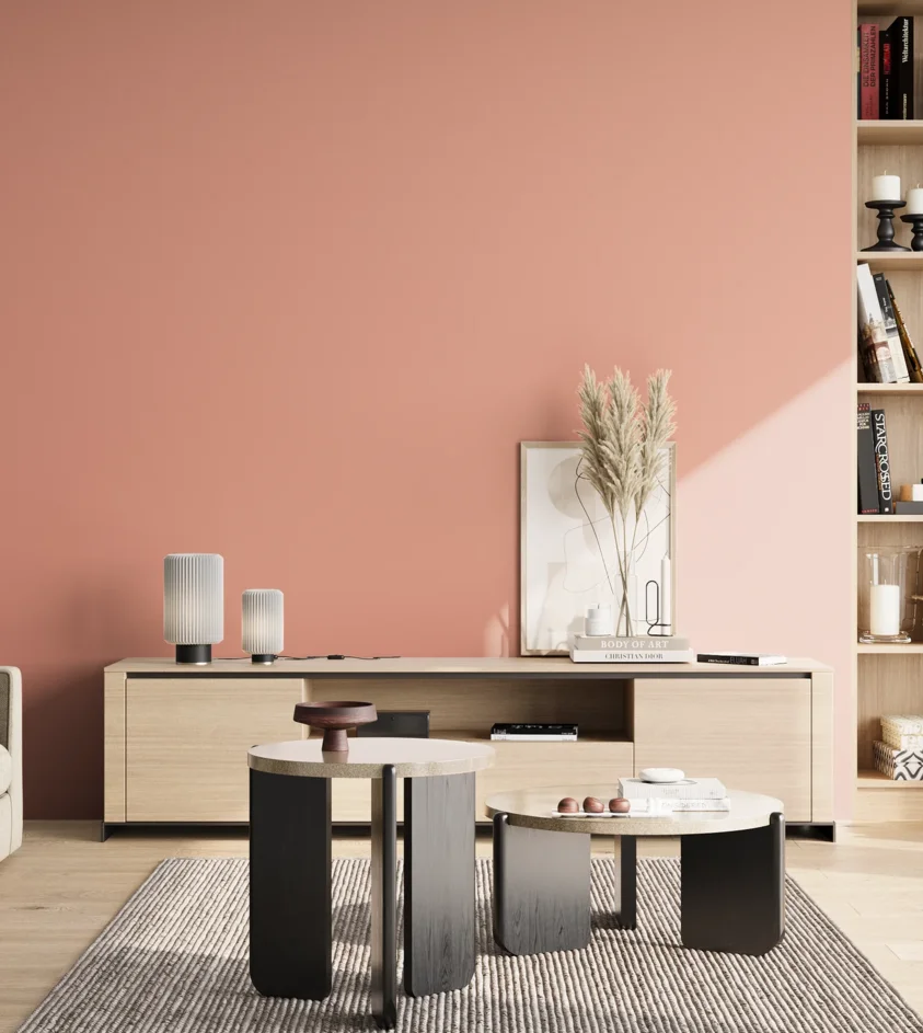 P10_SNIEZKA_salon_02_poludnie_GREY_S1030-Y80R