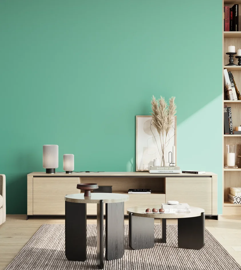 P10_SNIEZKA_salon_02_poludnie_GREY_S1040-B80G