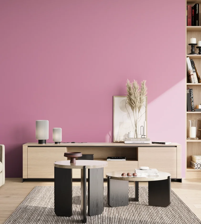 P10_SNIEZKA_salon_02_poludnie_GREY_S1040-R30B
