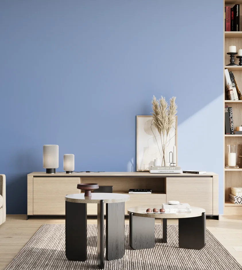 P10_SNIEZKA_salon_02_poludnie_GREY_S1040-R80B