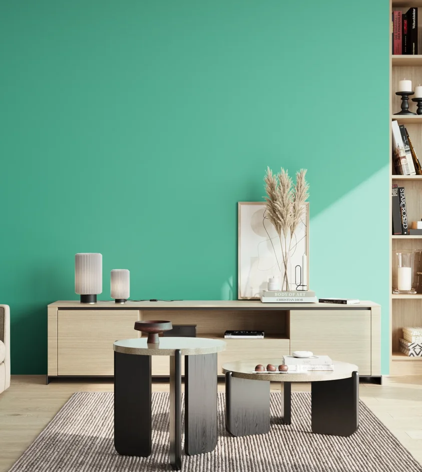 P10_SNIEZKA_salon_02_poludnie_GREY_S1050-B80G