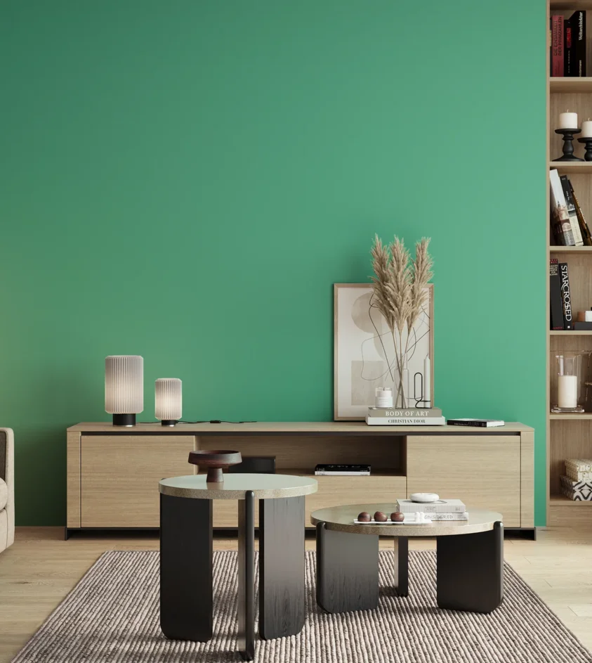 P10_SNIEZKA_salon_00_neutral_GREY_S1050-B90G