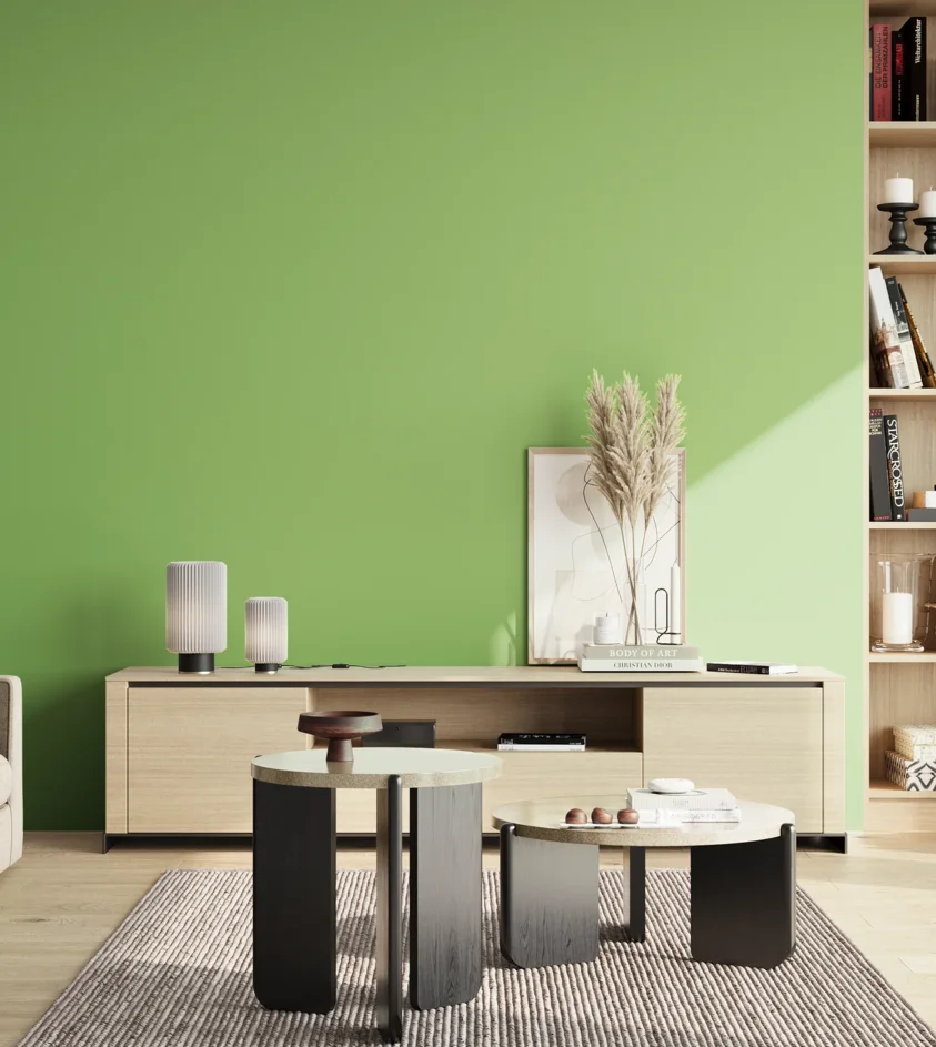 P10_SNIEZKA_salon_02_poludnie_GREY_S1050-G30Y