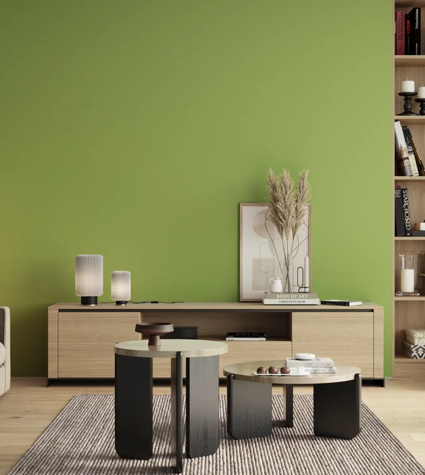 P10_SNIEZKA_salon_00_neutral_GREY_S1050-G40Y