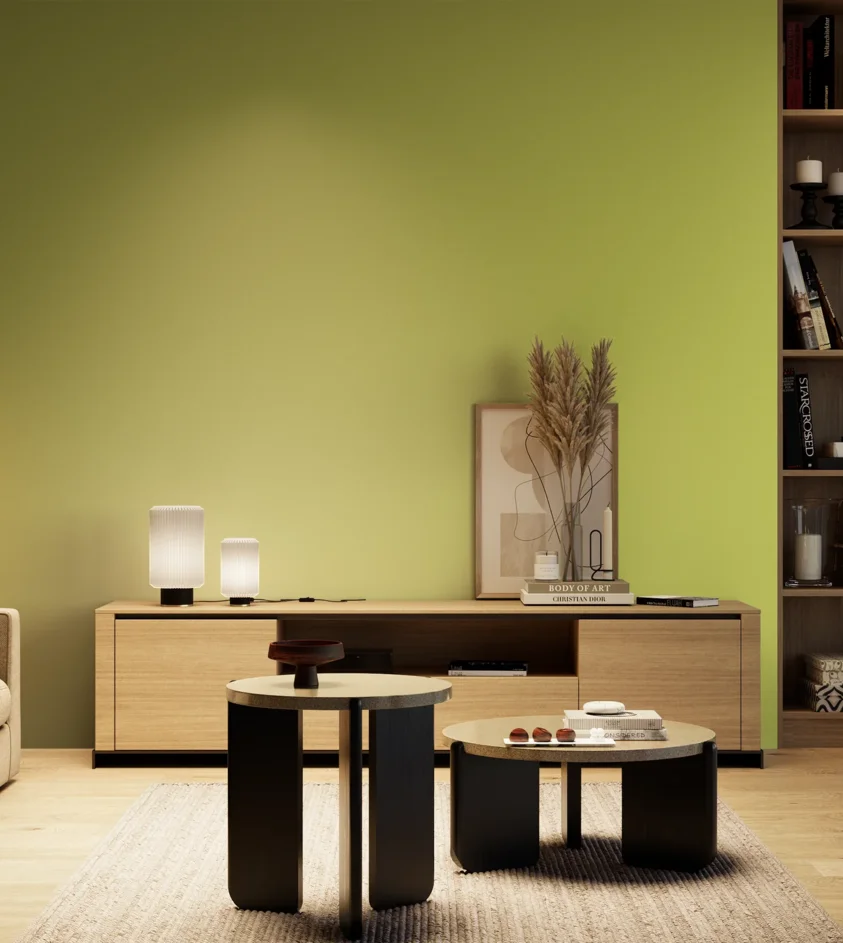 P10_SNIEZKA_salon_04_cieple_GREY_S1050-G60Y
