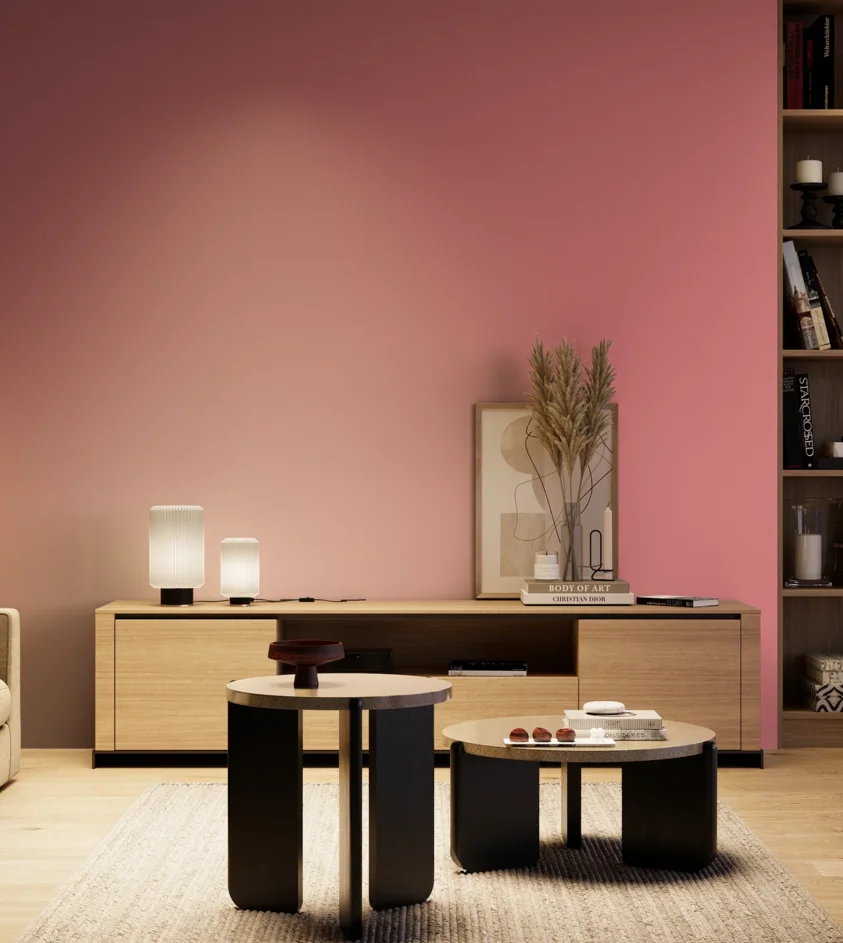 P10_SNIEZKA_salon_04_cieple_GREY_S1050-R10B