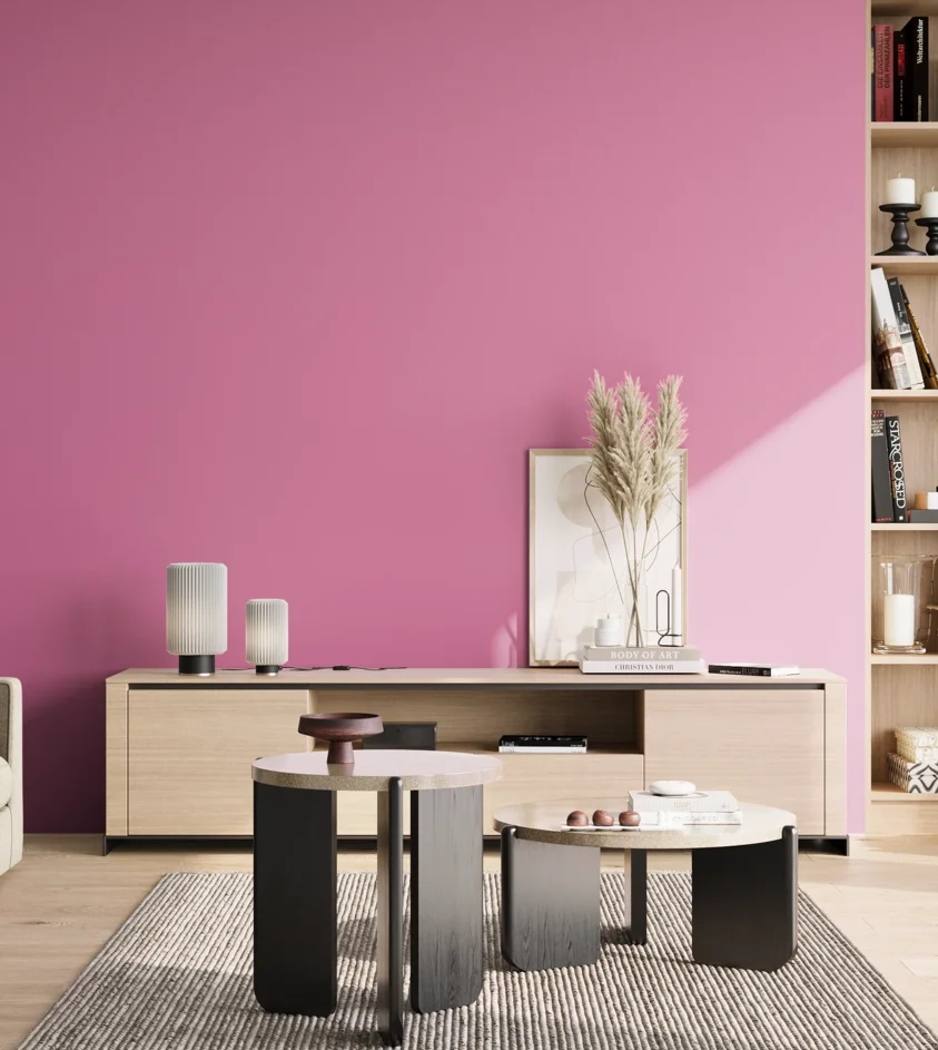 P10_SNIEZKA_salon_02_poludnie_GREY_S1050-R30B