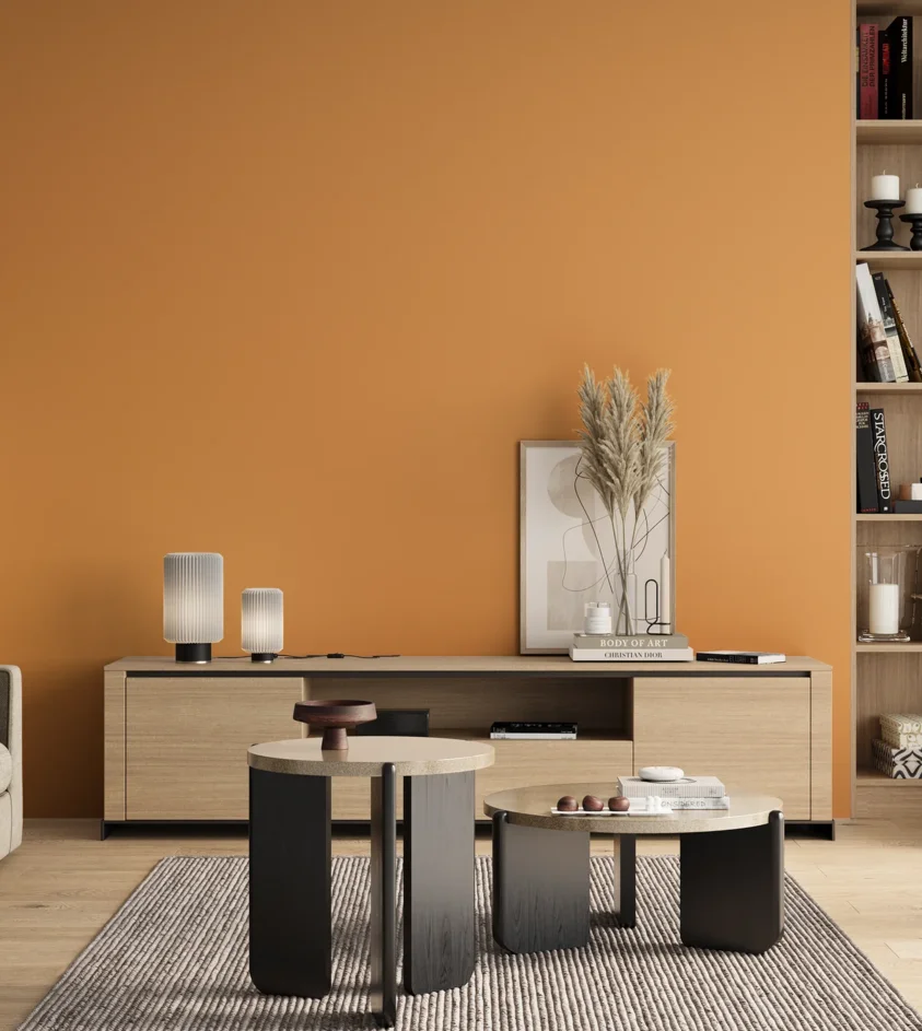 P10_SNIEZKA_salon_00_neutral_GREY_S1050-Y30R