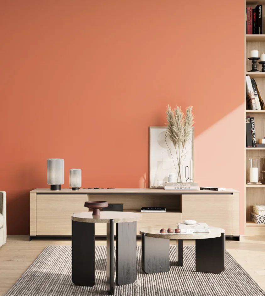 P10_SNIEZKA_salon_02_poludnie_GREY_S1050-Y70R