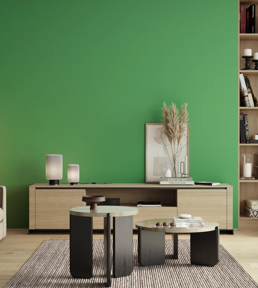 P10_SNIEZKA_salon_00_neutral_GREY_S1060-G10Y