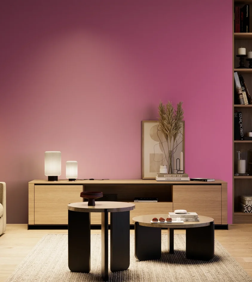 P10_SNIEZKA_salon_04_cieple_GREY_S1060-R30B