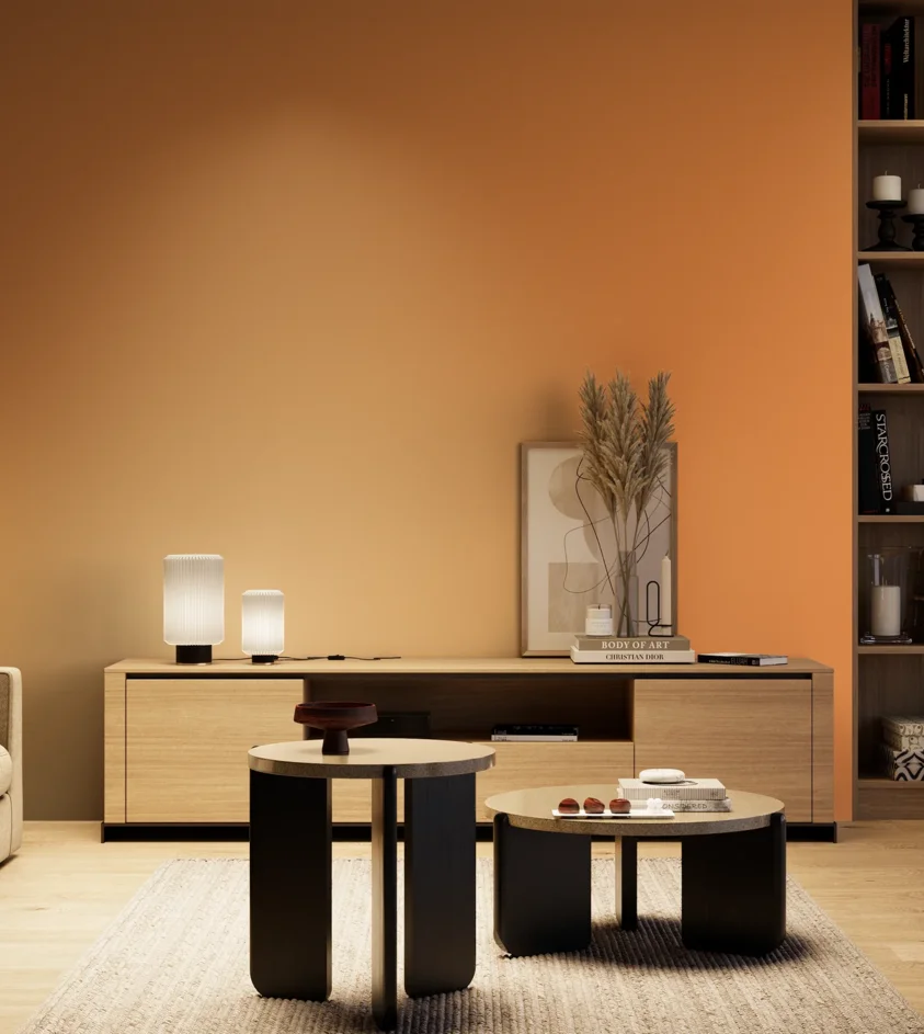 P10_SNIEZKA_salon_04_cieple_GREY_S1060-Y40R