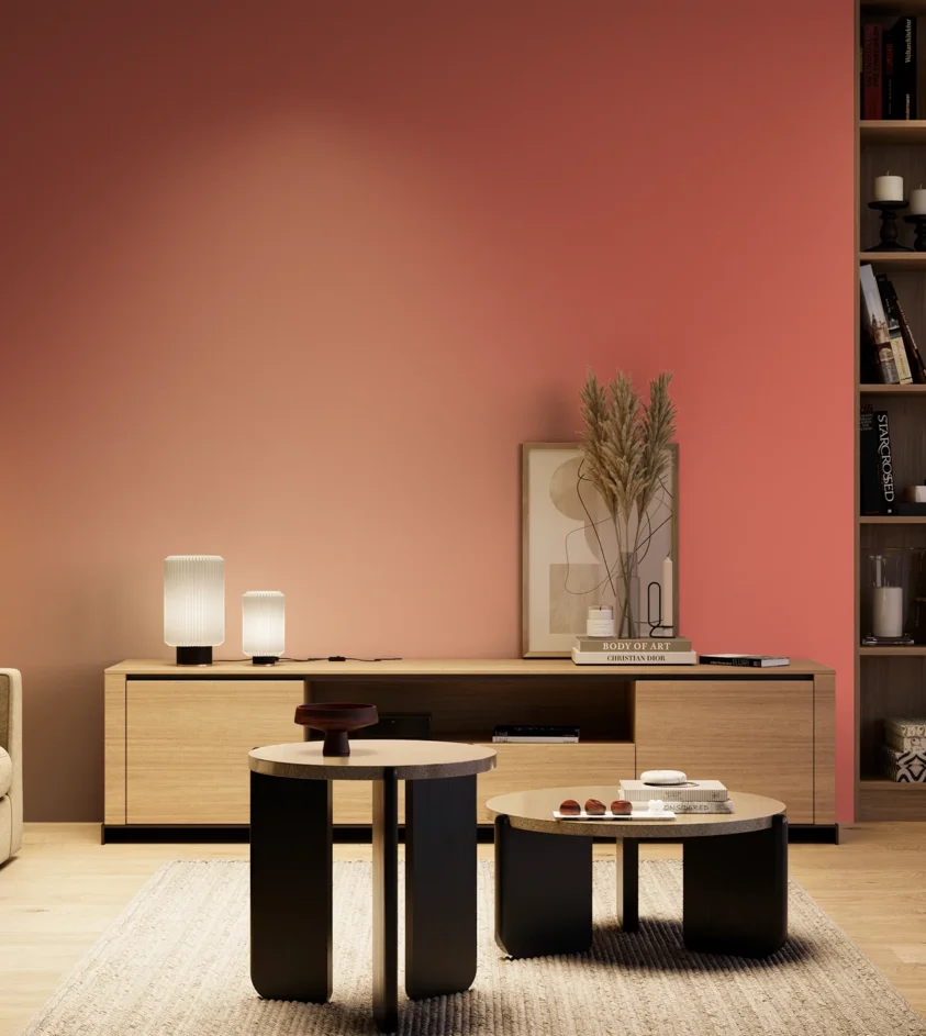 P10_SNIEZKA_salon_04_cieple_GREY_S1060-Y90R