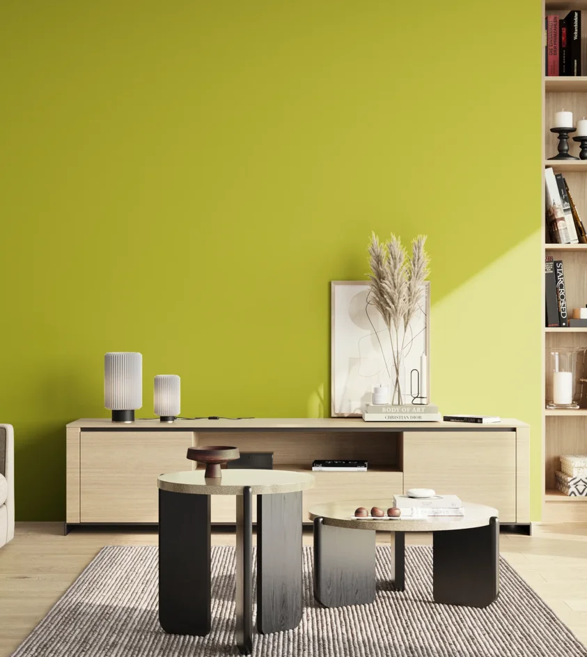 P10_SNIEZKA_salon_02_poludnie_GREY_S1070-G70Y