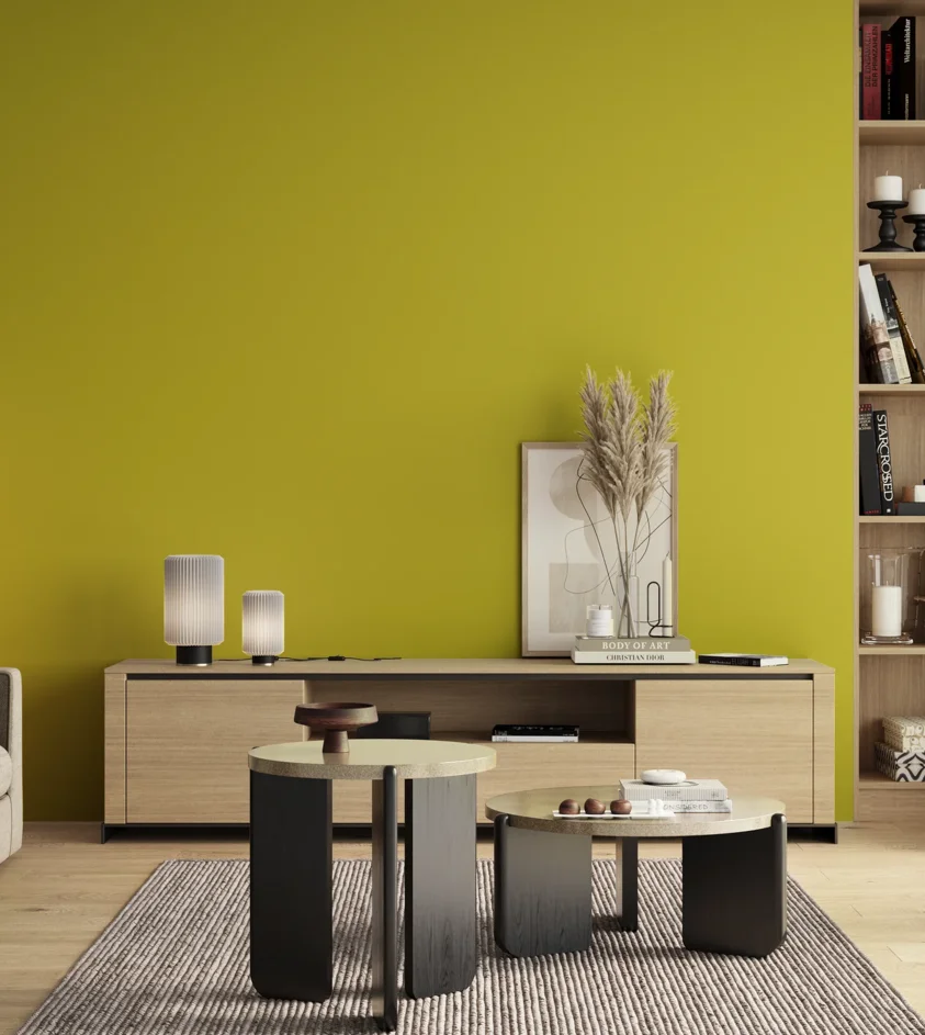 P10_SNIEZKA_salon_00_neutral_GREY_S1070-G80Y