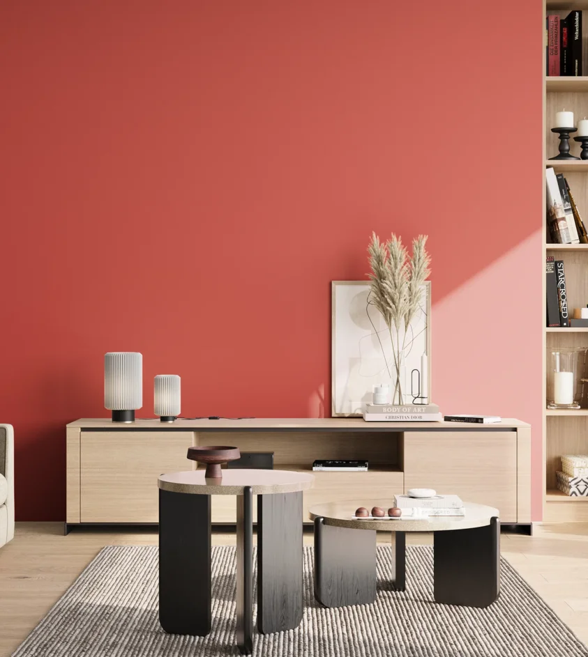 P10_SNIEZKA_salon_02_poludnie_GREY_S1070-Y90R