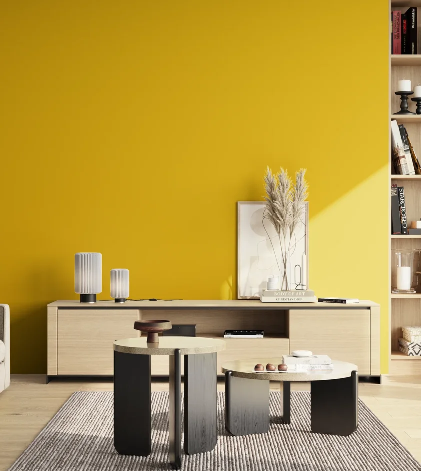 P10_SNIEZKA_salon_02_poludnie_GREY_S1080-Y