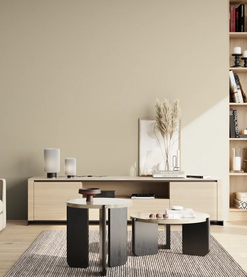 P10_SNIEZKA_salon_02_poludnie_GREY_S1505-Y20R