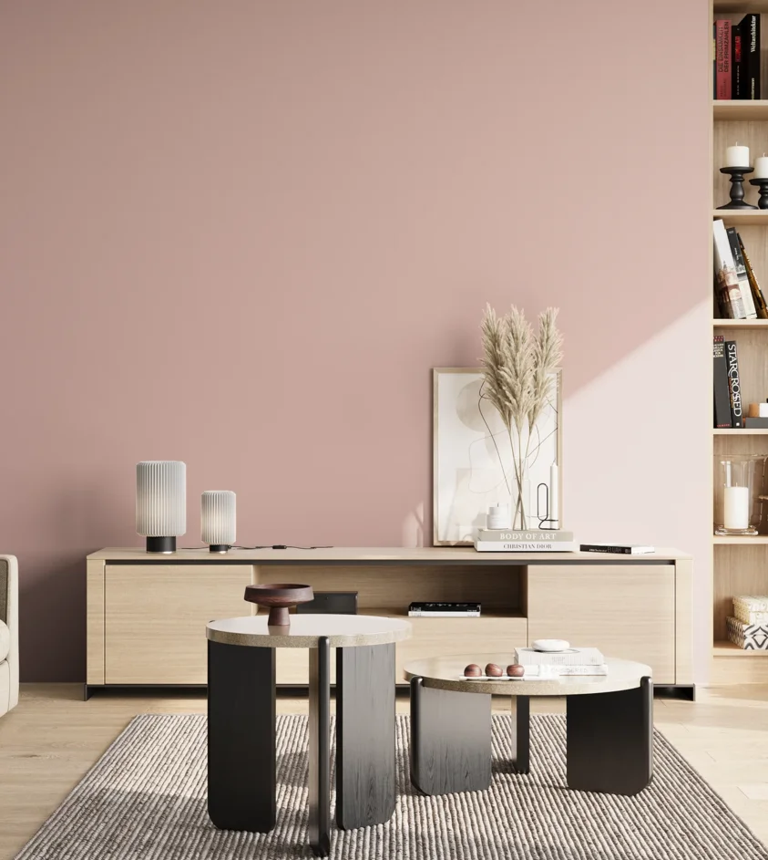 P10_SNIEZKA_salon_02_poludnie_GREY_S1515-R