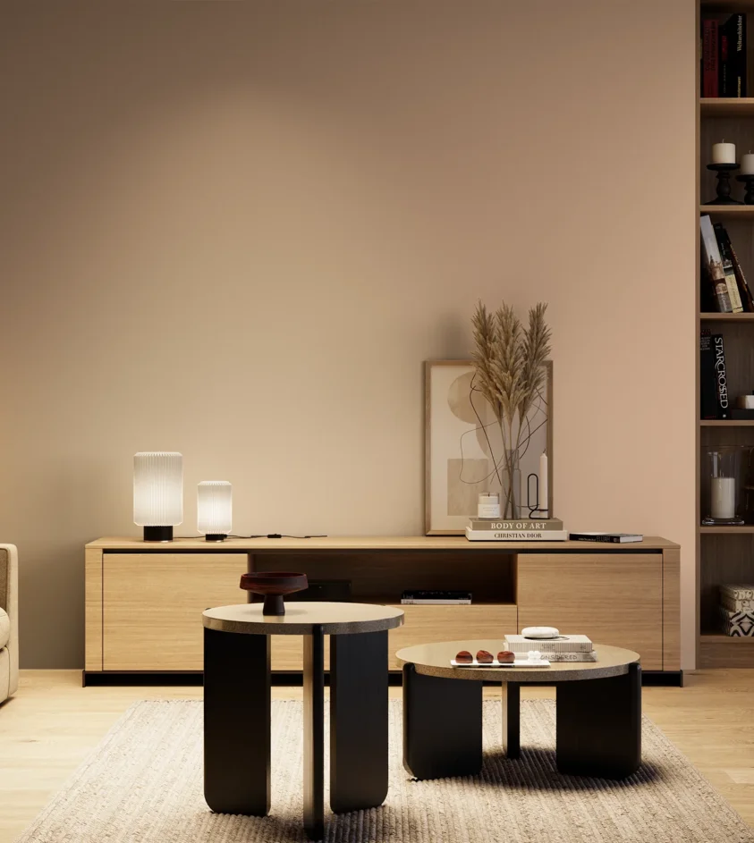 P10_SNIEZKA_salon_04_cieple_GREY_S1515-Y60R