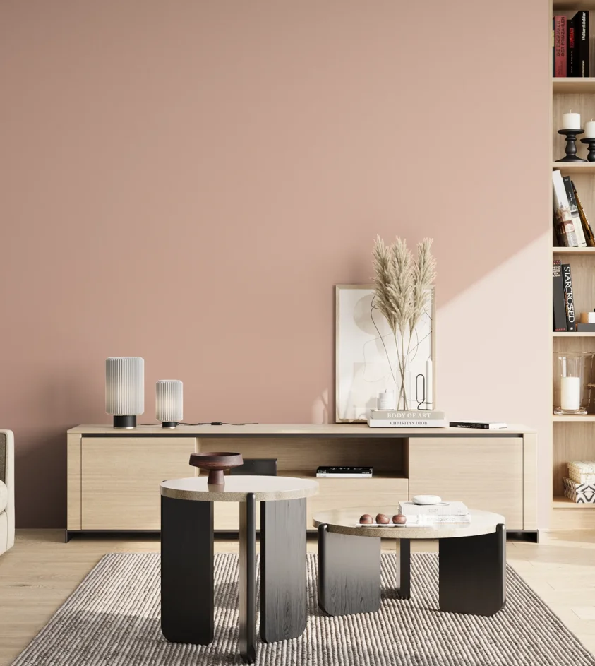 P10_SNIEZKA_salon_02_poludnie_GREY_S1515-Y80R