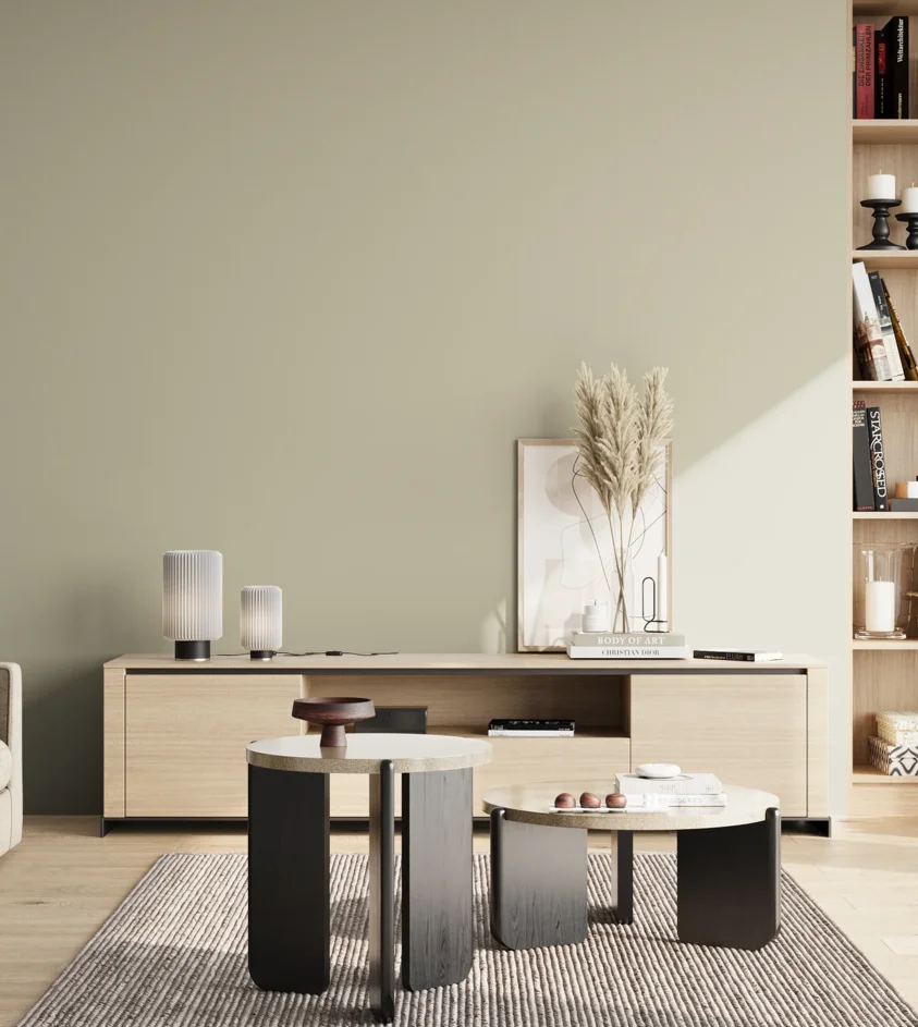 P10_SNIEZKA_salon_02_poludnie_GREY_S2005-G80Y