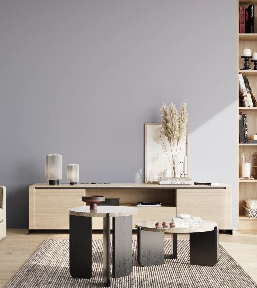 P10_SNIEZKA_salon_02_poludnie_GREY_S2010-R70B
