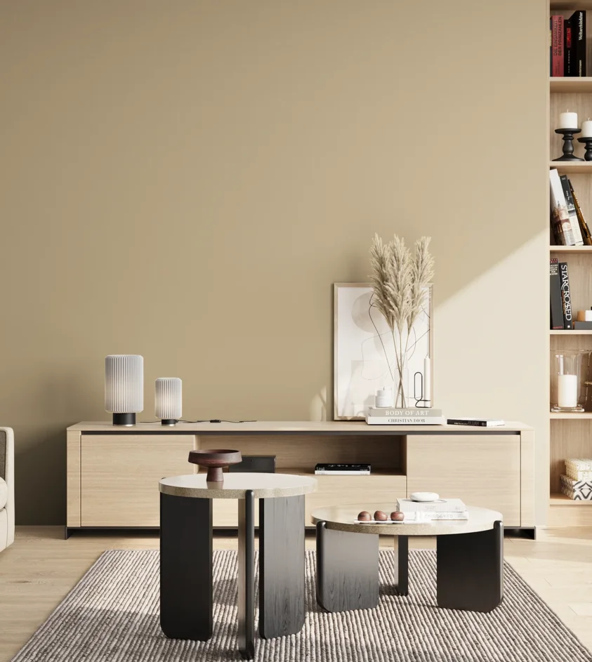 P10_SNIEZKA_salon_02_poludnie_GREY_S2010-Y20R