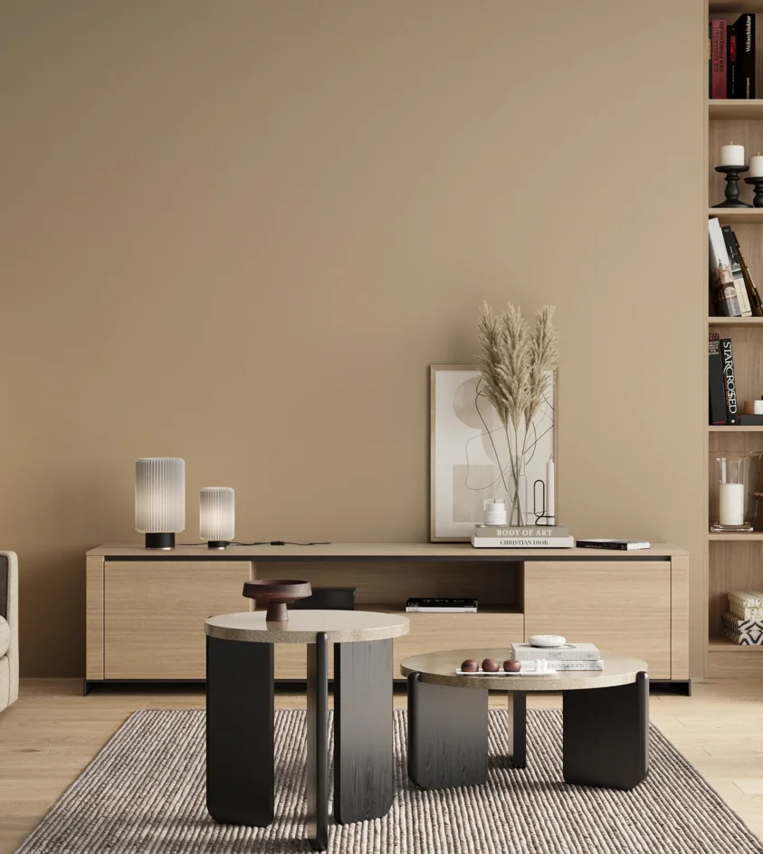 P10_SNIEZKA_salon_00_neutral_GREY_S2010-Y30R