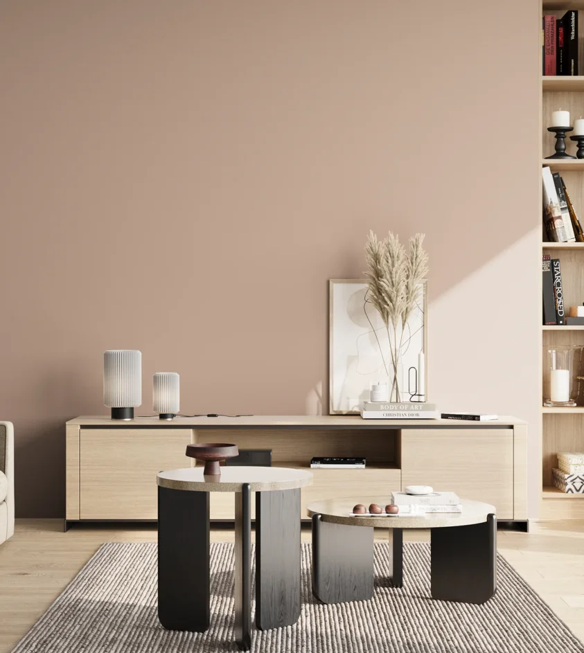 P10_SNIEZKA_salon_02_poludnie_GREY_S2010-Y70R