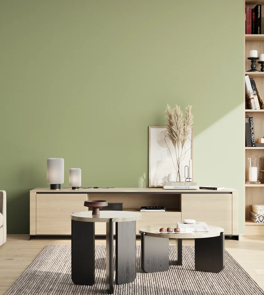 P10_SNIEZKA_salon_02_poludnie_GREY_S2020-G40Y