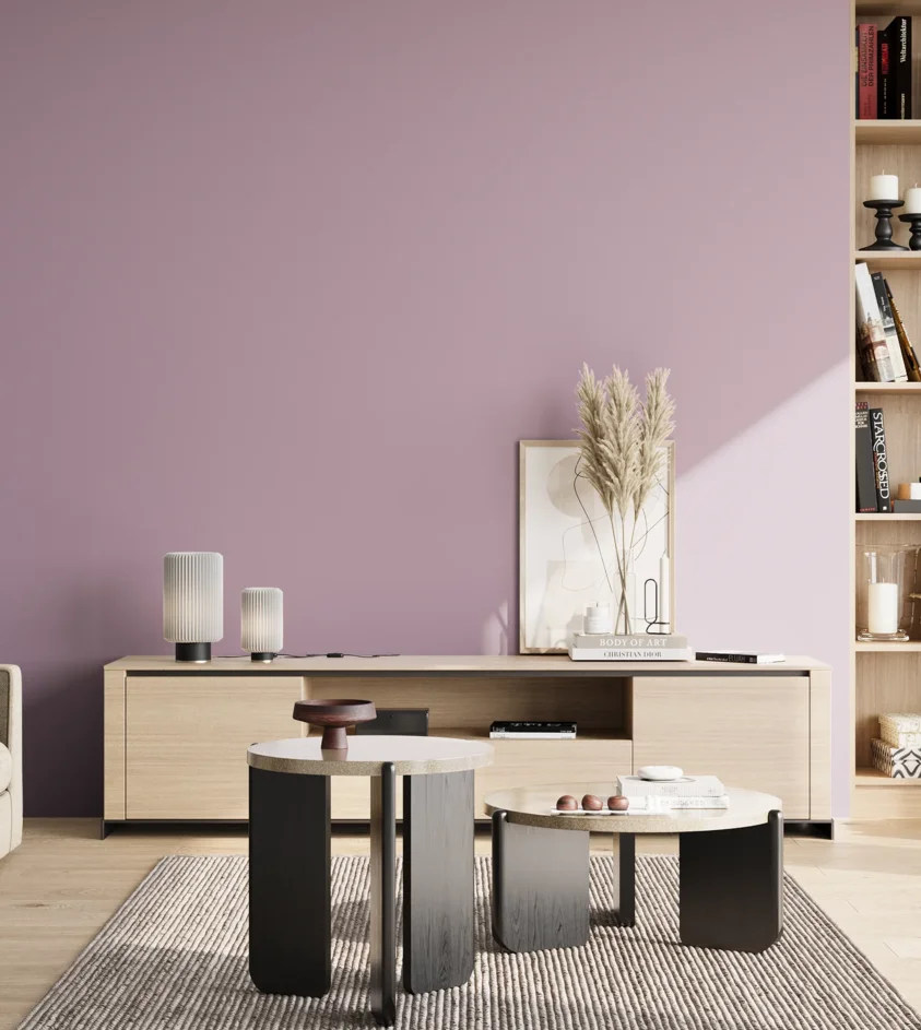 P10_SNIEZKA_salon_02_poludnie_GREY_S2020-R40B