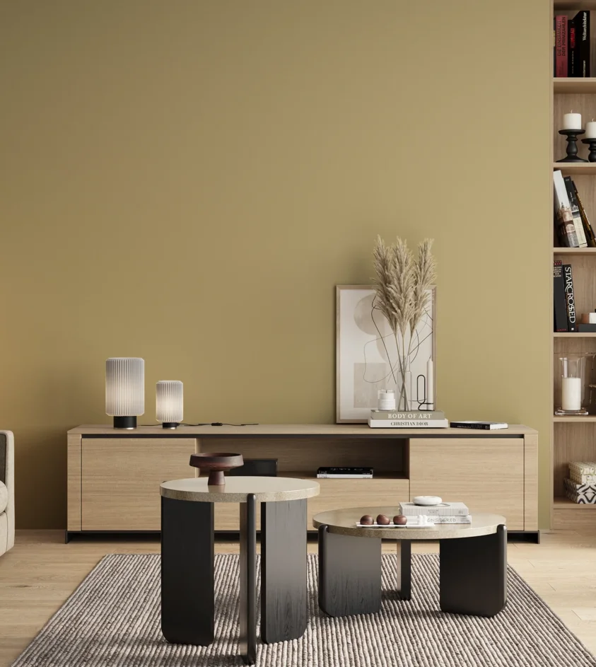 P10_SNIEZKA_salon_00_neutral_GREY_S2020-Y
