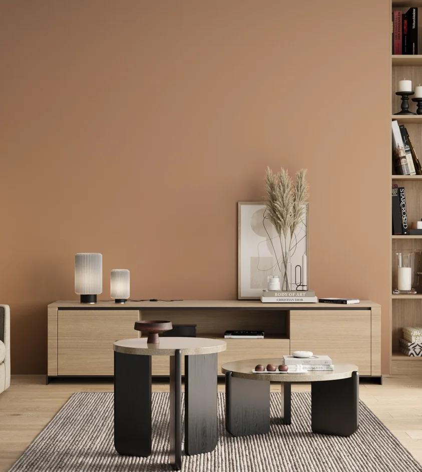 P10_SNIEZKA_salon_00_neutral_GREY_S2020-Y50R